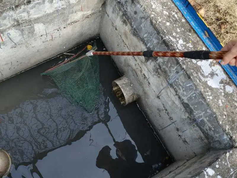 广州白云区疏通下水道 抽化粪池隔油池  抽泥浆